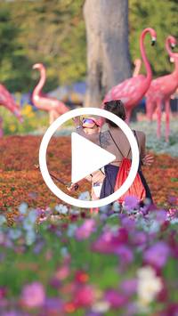 BIB:  <button type="button" onclick="openModal(27588724)" class="btn btn-primary btn-sm float-right" data-toggle="modal" data-target=".modal-high-quality">
                <i class="fa fa-download"></i> Download
                </button>